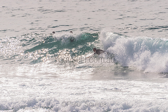 Avalon_201125_090003_0262