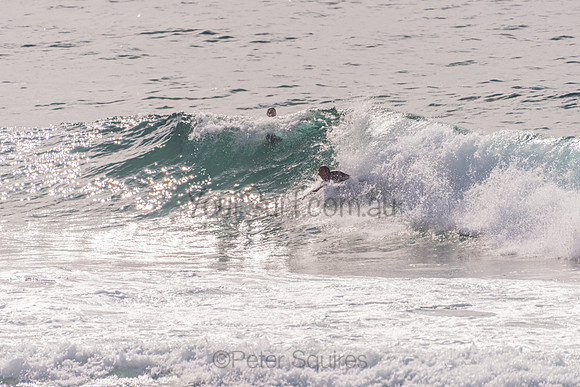 Avalon_201125_090003_0263