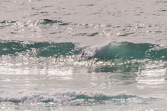Avalon_201125_090140_0266