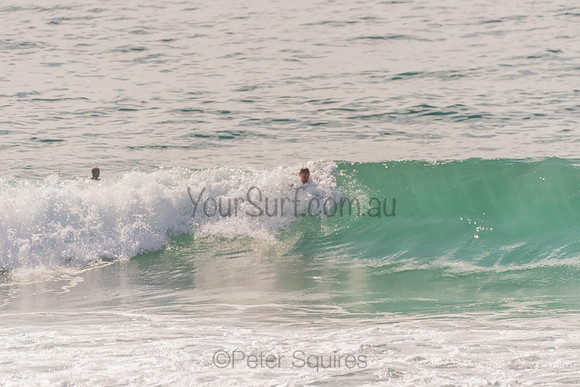 Avalon_201125_090952_0278