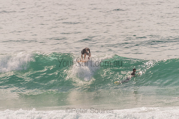 Avalon_201125_091209_0280