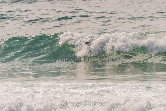 Avalon_201125_091330_0287