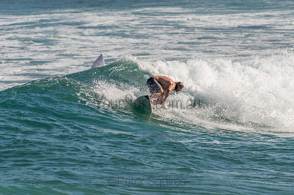 Avalon_201125_165134_0450