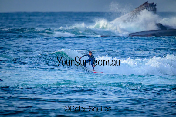 Avalon_240417_072752_0028-N