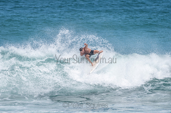 Avalon_201201_134537_0179