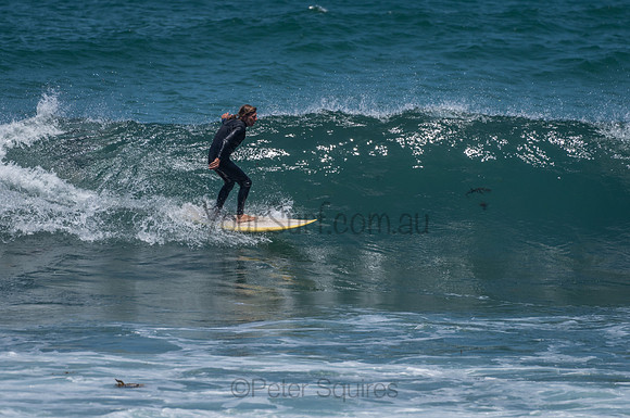 Avalon_201201_135420_0199
