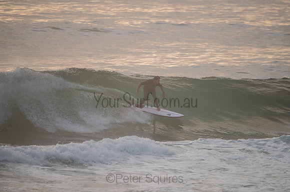 Avalon_201204_061636_0138