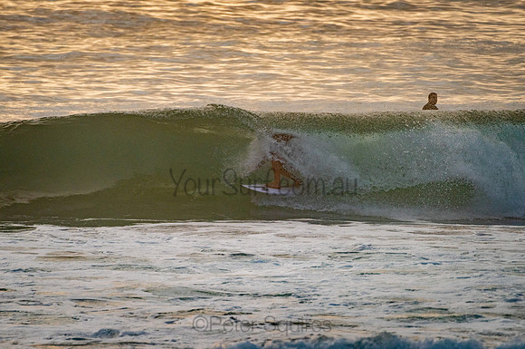 Avalon_201204_061731_0155