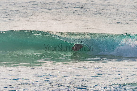 Whale_Beach_201204_072726_0123