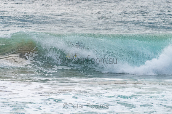 Whale_Beach_201204_074328_0261
