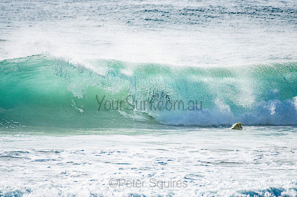 Whale_Beach_201204_080757_0498