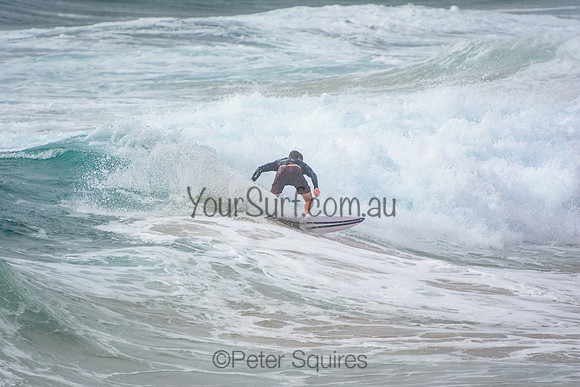 Mona_Vale_220105_083549_0036