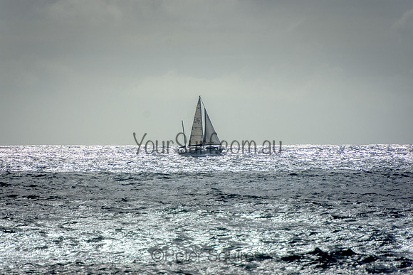 Palm_Beach_220105_084224_0099