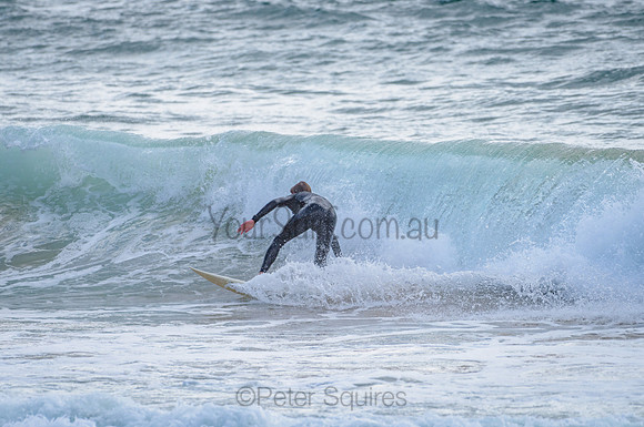 Palm Beach_201211_084859_0196