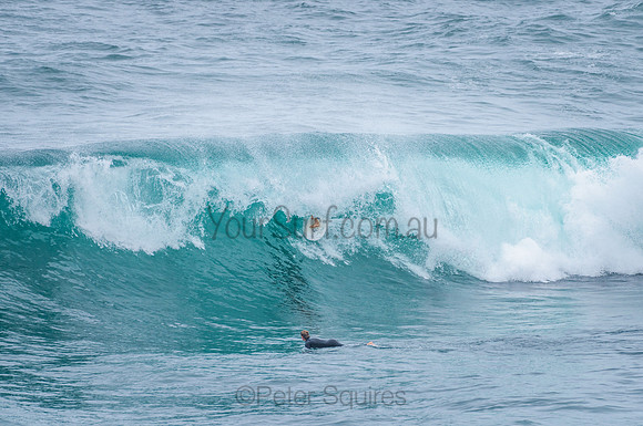 Avalon_201215_112354_0022
