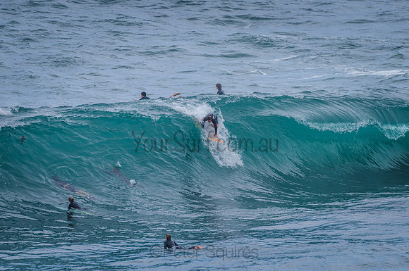 Avalon_201215_120302_0142