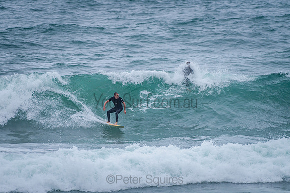 Avalon_201215_131245_0294