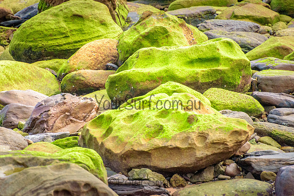 Avalon_220106_183133_0016