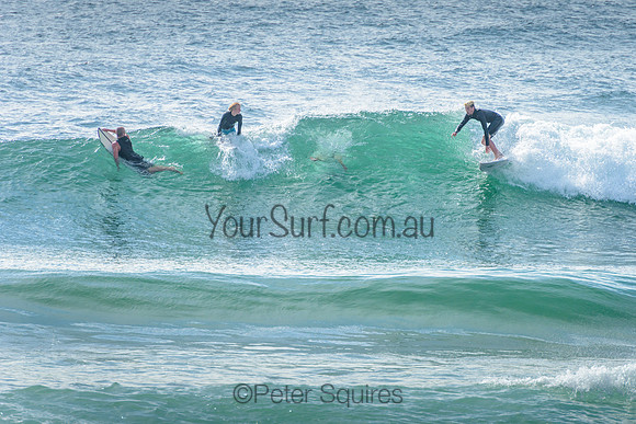 Newport_220108_085141_0123