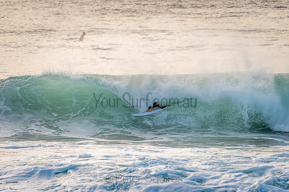Avalon_210121_073154_280