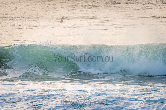 Avalon_210121_073154_281