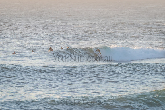Avalon_210122_063524_002