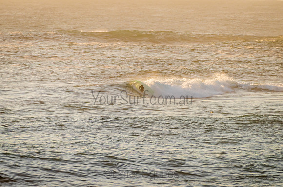Avalon_210122_065640_041
