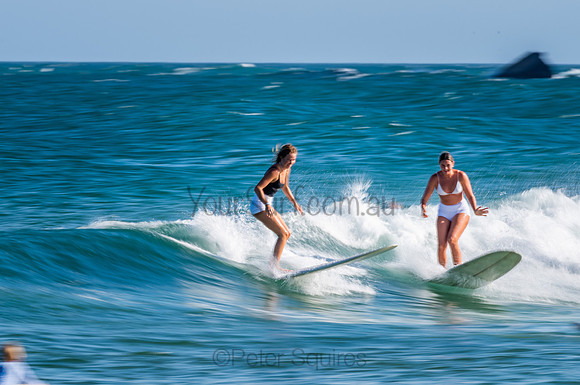 Avalon_210124_173121_0424