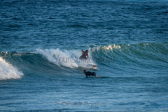 Avalon_210125_192719_0029