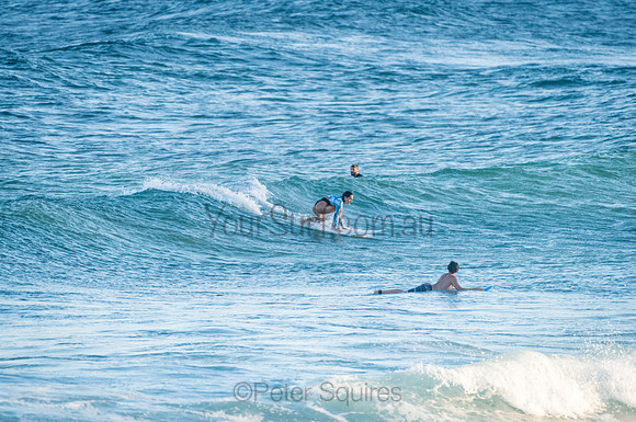 Avalon_210125_193004_0030
