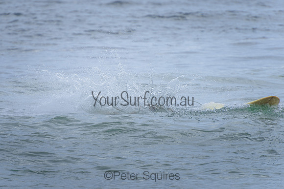 Palm_Beach_220110_083254_0059