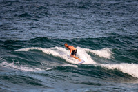 Whale_Beach_210126_175939_0006