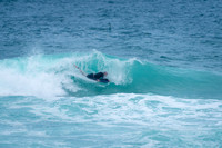 Whale_Beach_210130_143550_0026