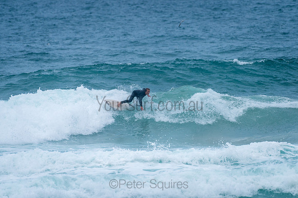 Whale_Beach_210130_143728_0048