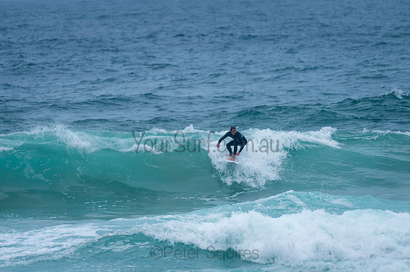 Whale_Beach_210130_143936_0087