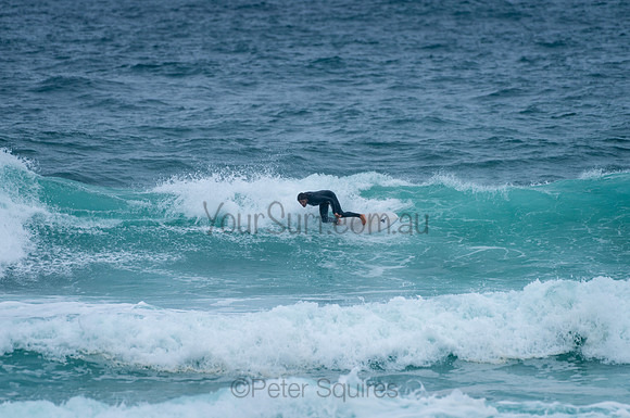 Whale_Beach_210130_150356_0270