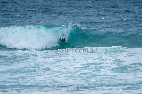 Whale_Beach_210130_151113_0316