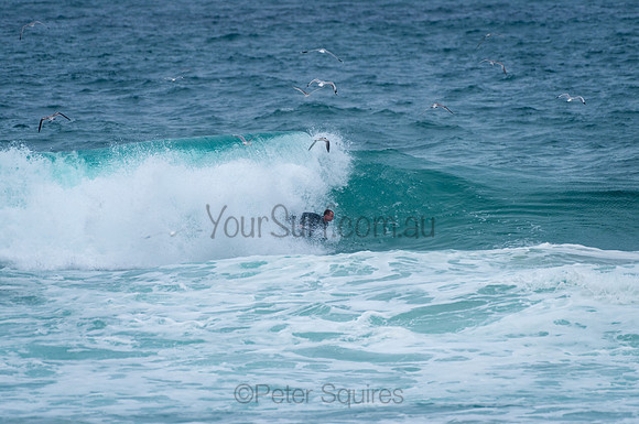Whale_Beach_210130_151114_0318