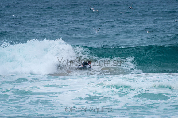 Whale_Beach_210130_151115_0319