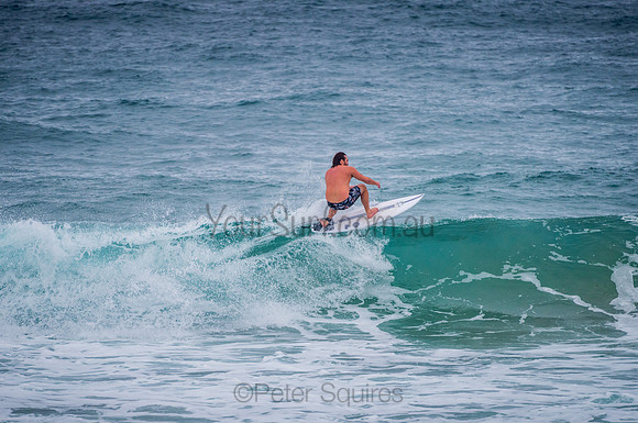 Whale_Beach_210131_142246_0069