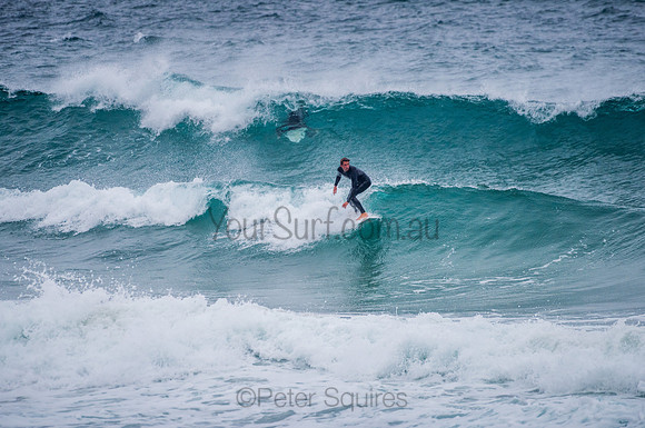 Whale_Beach_210131_143126_0170