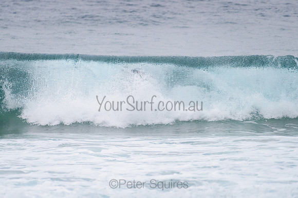 Whale_Beach_210201_075531_0208