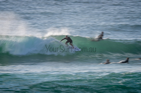 Avalon_210204_075854_0422