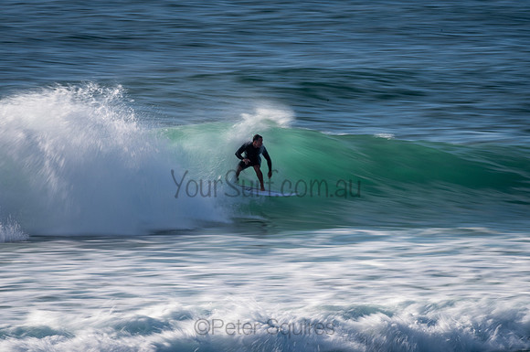 Avalon_210204_080227_0462
