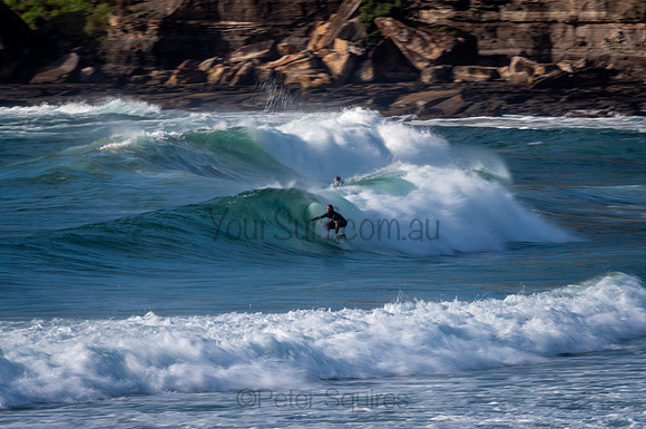 Avalon_210204_080358_0473
