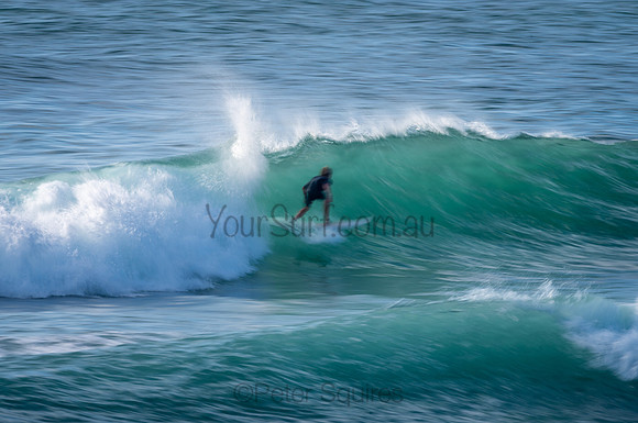 Avalon_210204_080440_0484