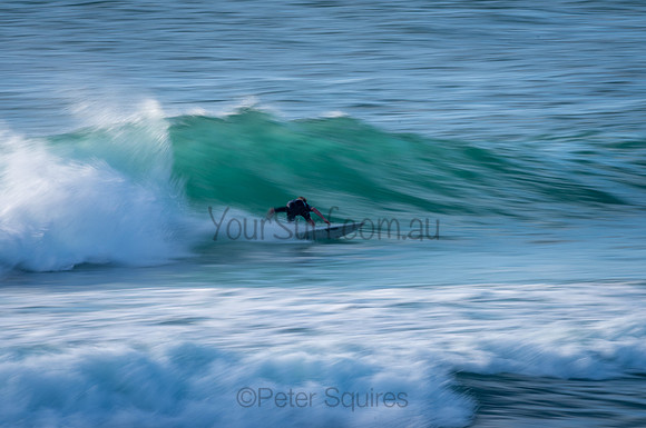 Avalon_210204_080442_0485