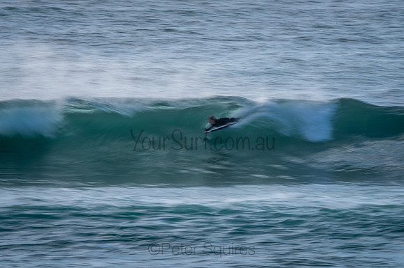 Avalon_210204_080452_0486