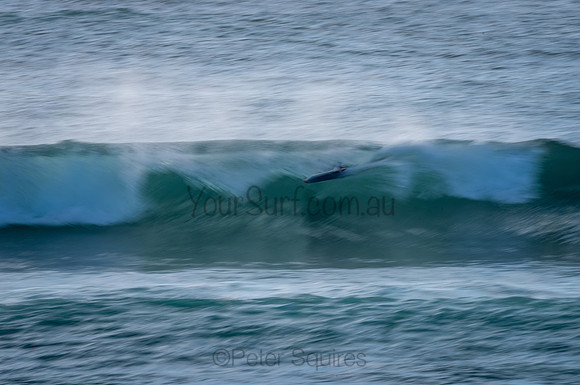 Avalon_210204_080453_0487