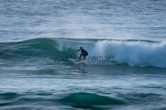Avalon_210204_080515_0490